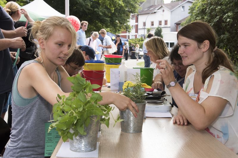 Bei einem Sommerfest sitzen zwei junge Frauen an einem Tisch. Auf dem Tisch stehen Kräuterpflanzen.