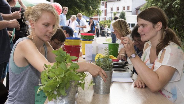 Bei einem Sommerfest sitzen zwei junge Frauen an einem Tisch. Auf dem Tisch stehen Kräuterpflanzen.
