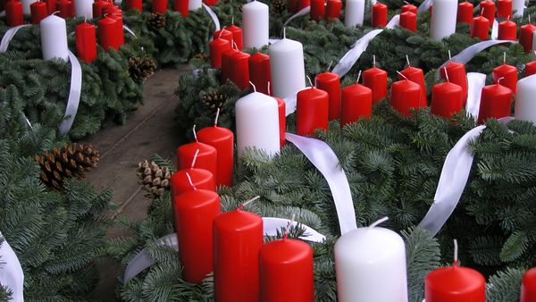 Mehrere Adventskränze mit roten und weißen Kerzen