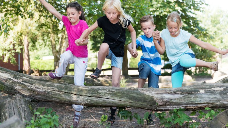 Vier Kinder kletttern über einen Baumstamm.