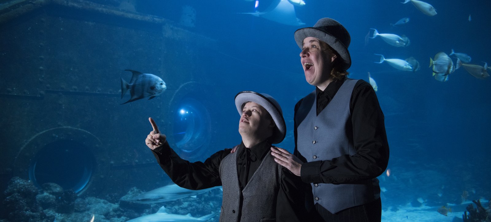 Ein Mann und eine Frau stehen vor einem Aquarium mit Fischen.