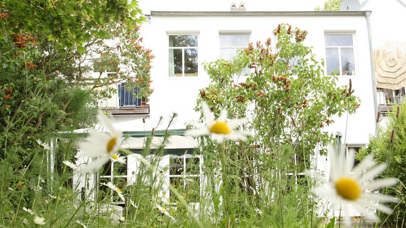 Blick durch den Garten auf den Treffpunkt Alstertreff