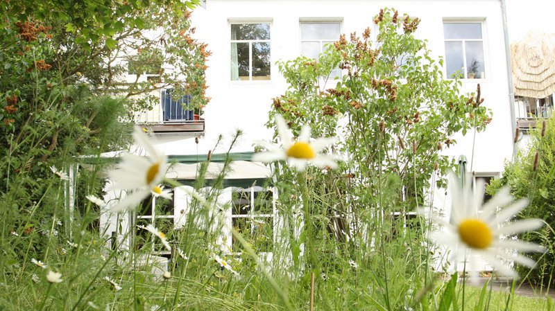 Blick durch den Garten auf den Treffpunkt Alstertreff