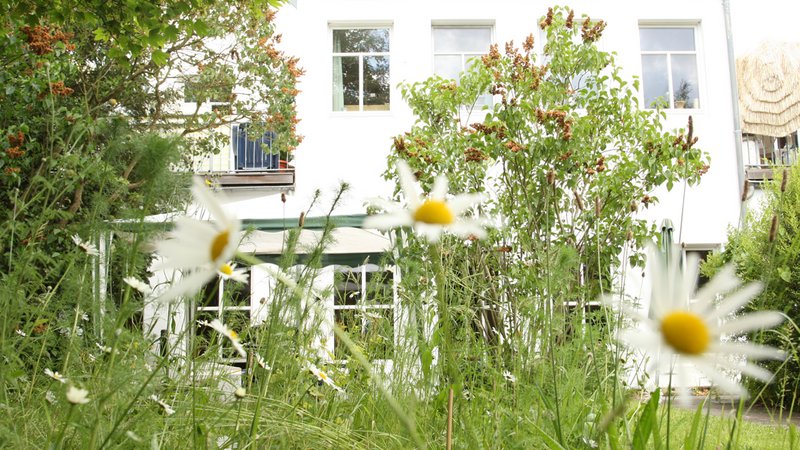 Blick durch den Garten auf den Treffpunkt Alstertreff