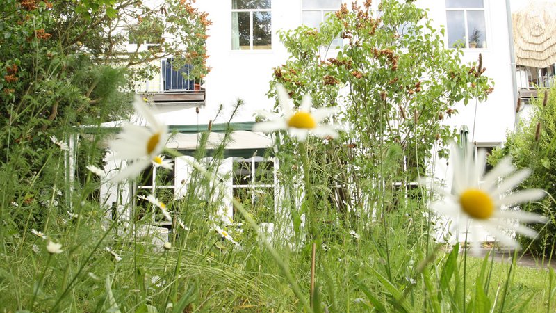 Blick durch den Garten auf den Treffpunkt Alstertreff