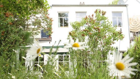 Blick durch den Garten auf den Treffpunkt Alstertreff