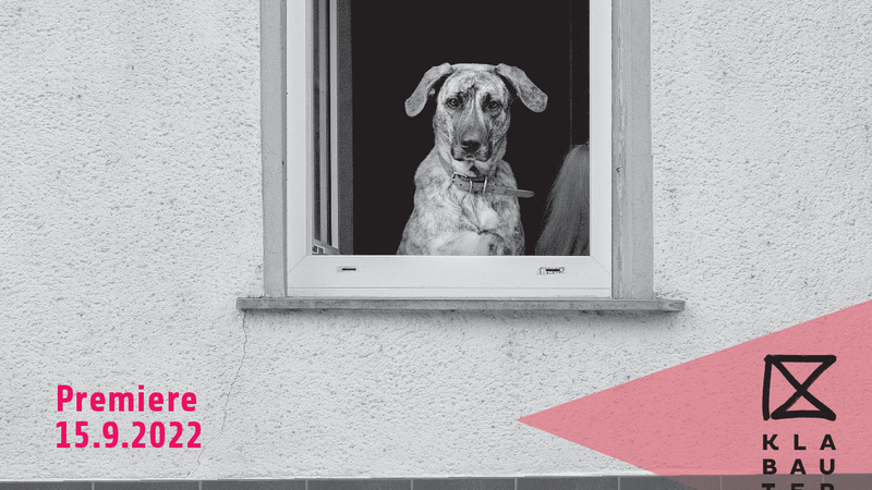 Plakatankündigung zur Premiere. Ein Hund schaut aus dem Fenster.