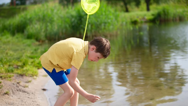 Ein Junge erkundet mit einem Kescher in der Hand die Wasseroberfläche eines Sees.